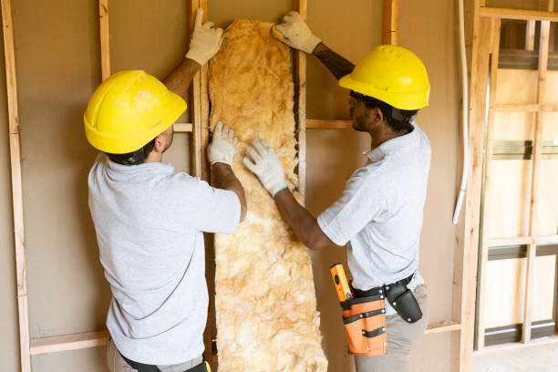 Professional Insulation Services in Baytown, TX